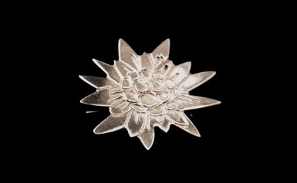 Letošnja prejemnica nagrade kosobrin je Jožica Hafner