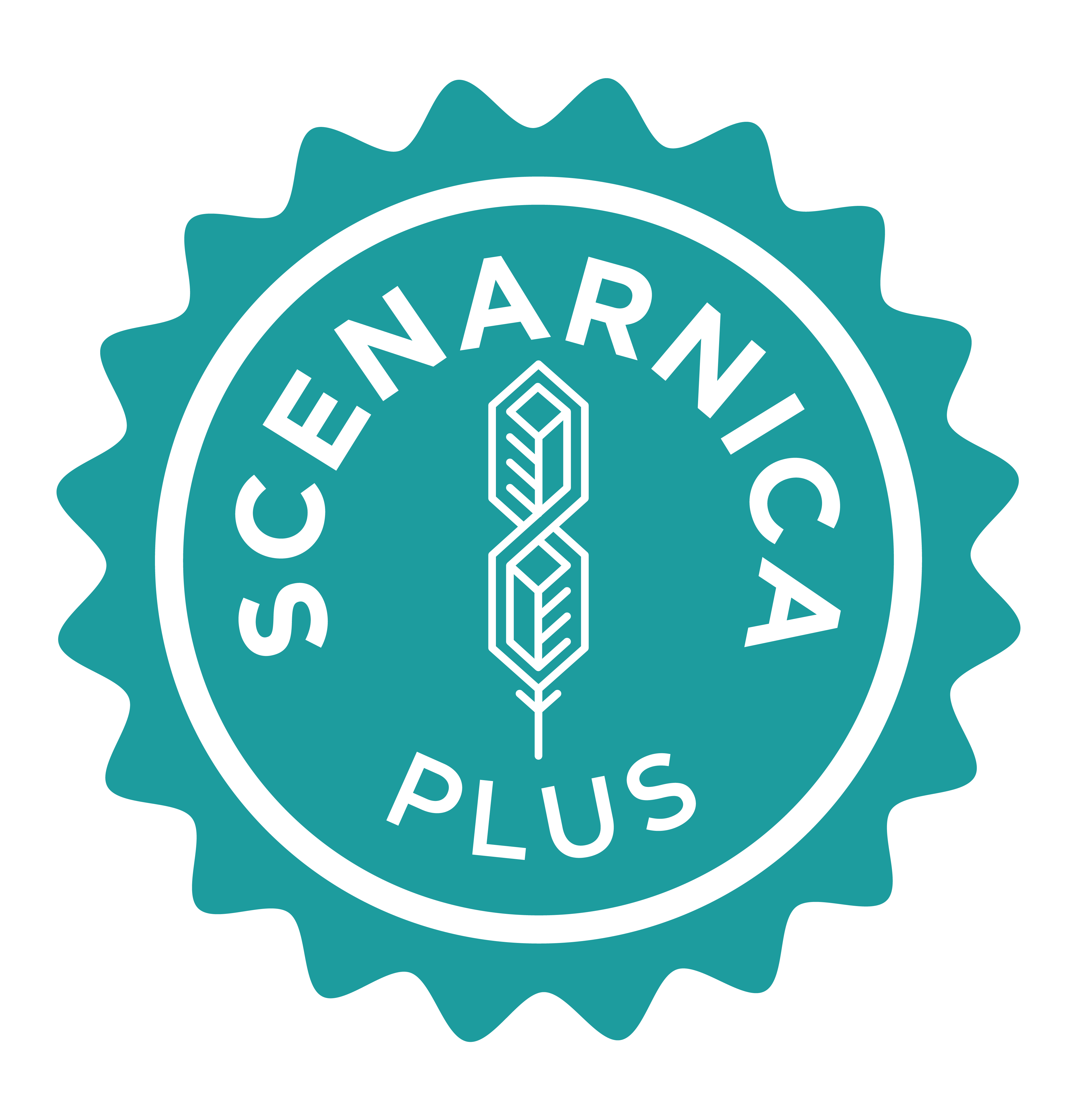 SCENARNICA_LOGO_PLUS_COLOR SCENARNICA_LOGO_PLUS_COLOR